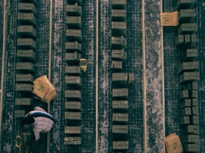 Índia e Chips: O Plano de 5 Anos para Mudar o Eixo Global