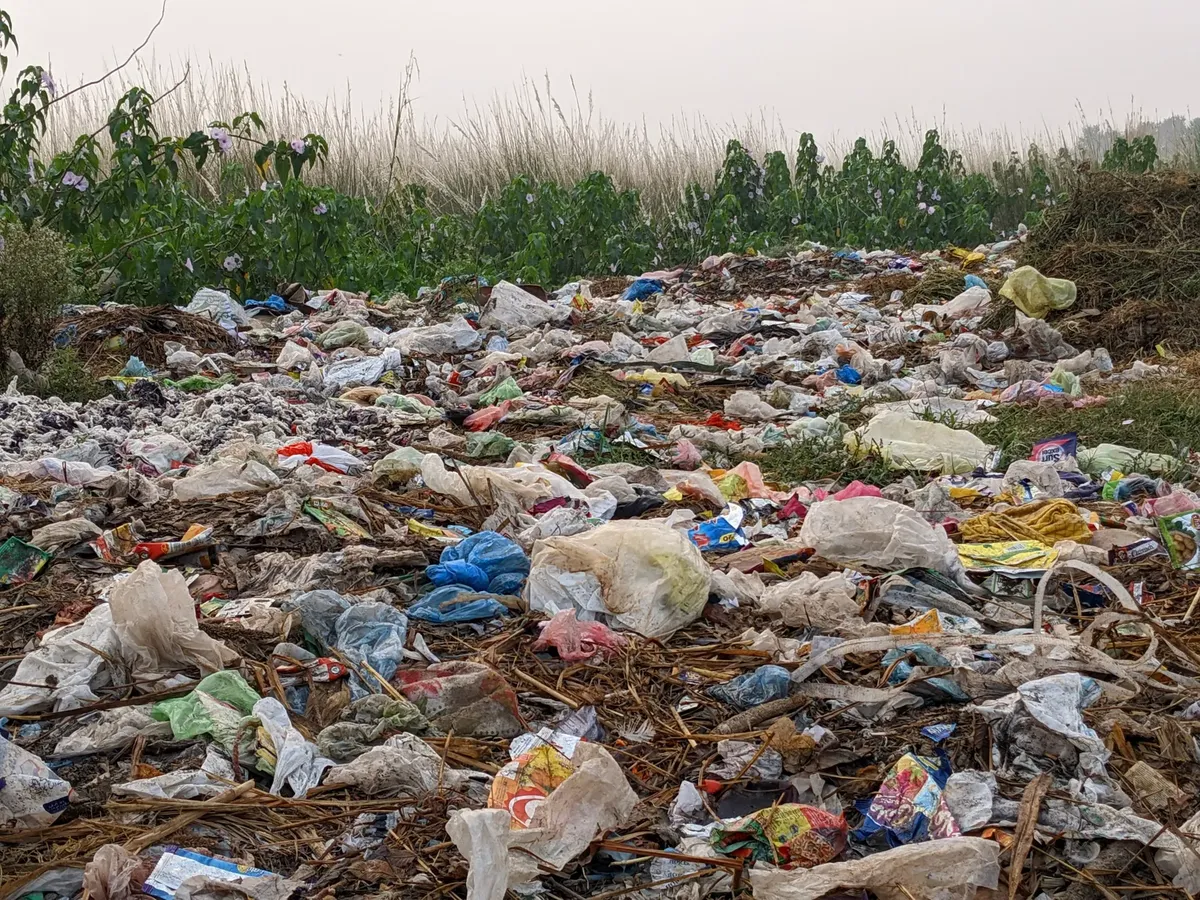 A field in Punjab littered with plastic waste, highlighting environmental concerns and pollution issues.