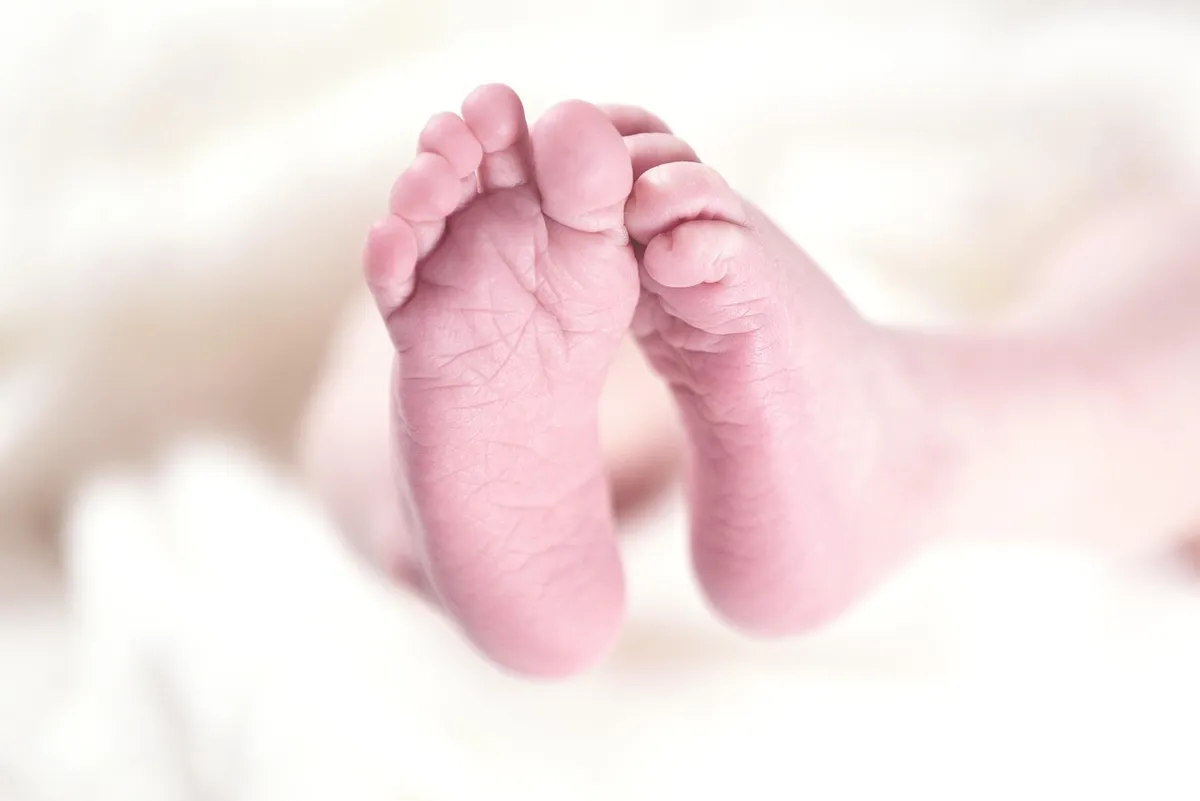 baby, feet, toes, sole, small, newborn, child, small feet, newborn baby, newborn child, baby feet, baby, baby, baby, baby, baby, feet, newborn
