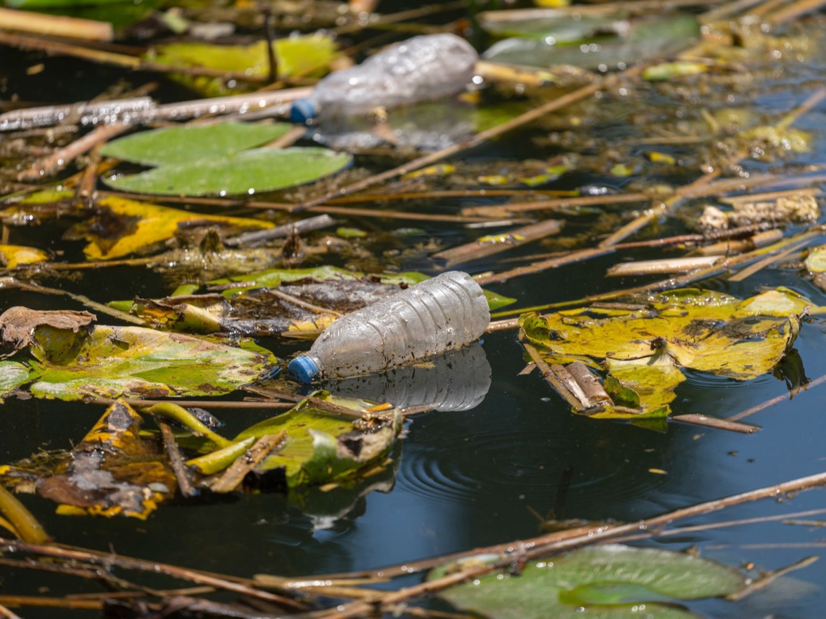 río contaminado por industria
